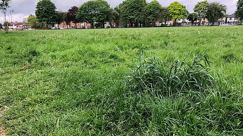 Acocks Green Recreational Ground